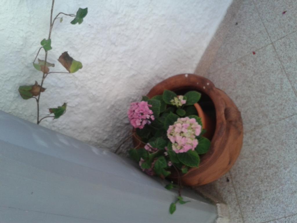 B&B Il Girasole Noto Luaran gambar